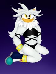 furry hedgehog male silver_the_hedgehog solo sonic_(series) sonic_the_hedgehog_(comics) sonic_the_hedgehog_(series)