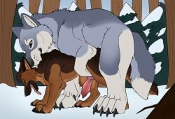 animal_genitalia animal_penis bear blue_eyes brown_body brown_fur canid canine canine_genitalia canine_penis canis domestic_dog duo erection feral feral_on_feral feral_penetrated feral_penetrating feral_penetrating_feral from_behind_position fur genitals german_shepherd green_eyes grey_body grey_fur hi_res hybrid killthe_demon knot male male/male male_penetrated male_penetrating male_penetrating_male mammal obscured_penetration open_mouth penetration penis plant sex side_view size_difference snow tongue tongue_out tree white_body white_fur wolf