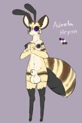 adeela_hryon animal_genitalia anthro arthropod arthropod_abdomen balls bee breasts futanari genitals gynomorph hymenopteran insects intersex sarek_aran_desian sheath