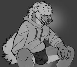 5_fingers anthro black_nose bodily_fluids bulge clothed clothing fingers genital_fluids hair hair_over_eye hi_res hidden_eyes hoodie hyena male mammal monochrome picantetortuga precum precum_through_clothing precum_through_underwear smile solo teeth teeth_showing topwear underwear wet wet_clothing