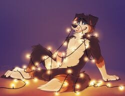 anthro arm_tuft balls black_body black_fur black_nose blue_eyes canid canine canis cheek_tuft chest_tuft domestic_dog erection facial_tuft fangs fur furry genitals gloves_(marking) hi_res humanoid_genitalia humanoid_penis knee_tuft leg_markings leg_tuft looking_at_viewer male mammal markings nude open_mouth open_smile penis shoulder_tuft simple_background sitting smile socks_(marking) solo string_lights teeth tuft white_balls white_body white_fur yookie