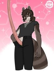 anthro anthro_only big_penis bittervow bottomwear bottomwear_down boxers_(clothing) boxers_down brown_body brown_eyes brown_fur brown_hair clothed clothing erection fur fyr_dunacht genitals hair huge_cock humor hyper hyper_genitalia hyper_penis long_penis male male_only mammal markings meme pants pants_down partially_clothed penis presenting procyonid raccoon shirt silly solo striped_body striped_fur striped_markings stripes topwear underwear vtuber