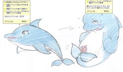 kairu_the_dolphin mascots microsoft microsoft_office tagme