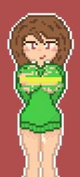 brown_hair chara female_chara pixel_art red_eyes undertale undertale_(series)