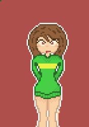 brown_hair chara female_chara pixel_art red_eyes tagme undertale undertale_(series) video