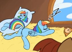 2019 anus closed_eyes dakimakura_design dock equid equine eyelashes female feral friendship_is_magic furry hair inside mammal multicolored_hair multicolored_tail my_little_pony pterippus pussy rainbow_dash_(mlp) rainbow_hair sky sleeping solo soulcentinel violetechoes window wings