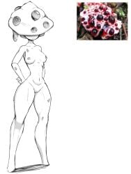 1girls areolae breasts covered_eyes female greyscale humanization humanized hydnellum_peckii_(mushroom) megamor mushroom mushroom_girl mushroom_hat mushroom_humanoid nipples nude nude_female reference_image simple_background