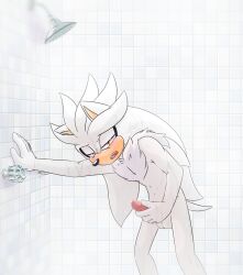 Sonic (Series) Rule 34 Image