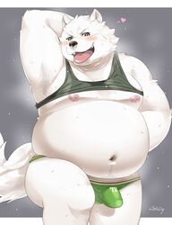 2019 anthro belly blush bodily_fluids bulge canid canine canis clothing domestic_dog fur hi_res male male_only mammal moobs navel nikiciy nipples overweight overweight_male simple_background solo sweat tongue tongue_out underwear white_fur