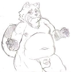 2019 anthro balls belly canid canine flaccid humanoid_hands male male_only mammal moobs navel nipples overweight overweight_male penis raccoon_dog sakusan_kc simple_background solo tanuki tenugui