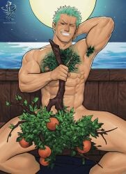 roronoa zoro from one piece by blake alexander art