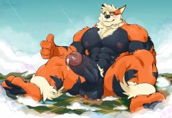 arcanine from nintendo by oinu kori