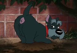 Jock (Lady And The Tramp) Rule 34 Image