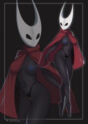 hornet (hollow knight) from hollow knight by hioyami