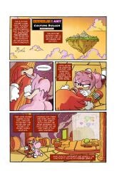 1boy 1girls amy_rose blowjob chaos_emerald comic_page comic_panel dreamrifle echidna escopeto fleetway_comics furry hedgehog knuckles_the_echidna master_emerald on_knees sonic_the_comic tagme