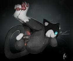 anus ass balls domestic_cat felid feline felis genitals hi_res highlights_(coloring) male mammal morgana_(persona) musk musk_clouds musky_balls pawpads penis persona_(series) persona_5 rear_view small_penis solo truemew