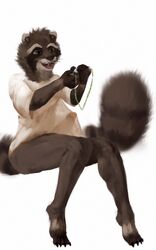 4_toes 5_fingers anthro barefoot black_nose bottomless clothed clothing fingers hi_res kheltari male mammal open_mouth penis procyonid raccoon sitting solo teeth toes tongue whiskers