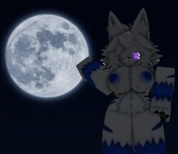 1girls 3d blue_areola blue_fur blue_nipples breasts breasts_out eyepatch fur_breasts fur_markings fur_pattern furry gazichorr34 holding_thigh javerickrr34 lucia_(gazichorr34) moon moonlight purple_eyes pussy roblox robloxian source_request white_body white_fur white_hair