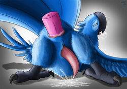 2019 2_toes anal anal_masturbation anal_sex anus ass ass_up avian barefoot beak bird bird_feet blu_(rio) blue_feathers blue_sky_studios blush bodily_fluids brown_eyes claws cum dildo drooling erection feathered_wings feathers feral fol genital_fluids hands-free hi_res male male_only male_penetrated masturbation open_mouth orgasm parrot penetration penis presenting presenting_hindquarters rio_(film) rio_(series) saliva sex_toy simple_background solo talons toe_claws toes tongue tongue_out wings