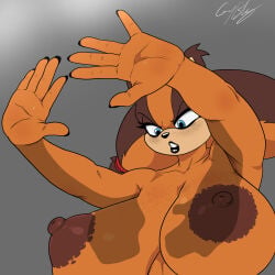 sticks the badger from sonic (series) by cuernosblancos