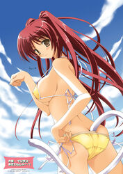 back bikini blush breasts brown_eyes butt_crack cat_pose cat_tail goma_satoshi kousaka_tamaki large_breasts long_hair looking_back paw_pose pointy_chin red_hair side-tie_bikini sideboob swimsuit tail tied_hair to_heart_(series) to_heart_2 twintails