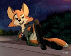 2019 alternate_version_at_source anthro bedroom_eyes boots bottomwear breasts brown_eyes canid canine clothed clothing clothing_lift countershading darma darma_(rock_dog) digital_media_(artwork) eyebrow_raise female footwear fox front_view fur half-closed_eyes hoodie looking_at_viewer lying mammal multicolored_body multicolored_fur nipples no_underwear on_side orange_body orange_fur pussy rock_dog seductive skirt smile solo spread_legs spreading tan_body tan_fur toony topwear tvma two_tone_body two_tone_fur upskirt