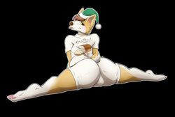 anthro ass barefoot blush bottomwear bulge canid canine canis christmas clothed clothing domestic_dog eyelashes flexible hair hat headgear headwear herding_dog holidays looking_back male male_only mammal pastoral_dog santa_hat shirt shorts solo splits spread_legs spreading tongue tongue_out topwear welsh_corgi zigzagmag