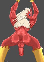 1boy 2019 absurd_res anthro anthrofied anus armpits arms_up ass avian back beak big_penis blaziken blonde_hair blue_eyes digital_media_(artwork) eye_contact grey_background hair half-closed_eyes hi_res humanoid_penis large_penis long_hair looking_at_viewer male male_only muscular muscular_male nintendo nude penis pokemon pokemon_(species) pokemon_rse pose red_feathers red_penis red_skin scarlet_dragoon shiny_skin simple_background smile solo source_request spread_legs standing testicles text video_games watermark wide_hips yellow_feathers