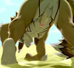 absurd_res anus ass balls canid canine canis catn1p erection hi_res humanoid_penis jackal looking_at_viewer looking_back low-angle_view male male_only mammal penis perineum presenting presenting_hindquarters sand seth_(tokyo_afterschool_summoners) tokyo_afterschool_summoners video_games