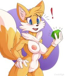 ! anthro blue_eyes breasts canid canine chest_tuft clothing cooliehigh cute emerald_(disambiguation) exposed_torso female footwear fox fur furry furry_only gloves handwear hi_res humanoid mammal pussy rule_63 solo sonic_(series) tail tails tailsko thick_thighs tuft