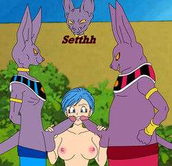 beerus from dragon ball by setthh98