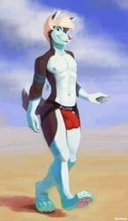 5_fingers absurd_res anthro avery black_fur bulge canid canine canis clothing cloud dipstick_tail fingers fur hair heterochromia hi_res looking_at_viewer male male_only mammal multicolored_tail nipples outside sky solo sunhuiz underwear white_fur wolf