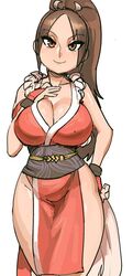 mai shiranui from fatal fury by maniacpaint