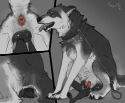 anal anal_penetration anatomically_correct anatomically_correct_anus animal_genitalia animal_penis anthro anthro_on_feral anthro_penetrating anthro_penetrating_feral anus balls bestiality big_balls black_and_white butt canid canine canine_genitalia canine_penis canis clothed clothing collar comic duo ears_back erection eyes_closed face_in_ass facesitting fangs feral feral_penetrated flaccid front_view genitals hi_res imminent_facesitting intraspecies intraspecies_bestiality knot knotted_penis larger_penetrated leash leash_pull leashed_collar lipsticking male male/male male_on_feral male_penetrated male_penetrating male_penetrating_male mammal monochrome musk muzzle_in_anus oral panel_overlap partially_clothed penetration penis pivoted_ears puffy_anus rear_view sepulte sex sheath side_view signature simple_background sitting sitting_on_another size_difference snout_fuck tail teeth tongue tongue_out underwear underwear_down wolf