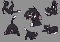 absurd_res all_fours bodily_fluids cum cum_on_face cum_on_tongue felid feline feral freckledcoat genital_fluids genitals group hi_res looking_at_viewer looking_through looking_through_legs lying male mammal nervous on_back on_side penile_spines penis presenting ravenpaw_(warriors) spread_legs spreading tongue warriors_(book_series)