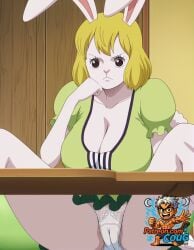 carrot (one piece) from one piece by coug