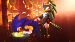 16:9 3d absurd_res anthro big_penis furry hi_res hover_board hoverboard humanoid_penis jet_the_hawk male male/male penis sonic_(series) sonic_riders sonic_the_hedgehog sonicfoxhound source_filmmaker