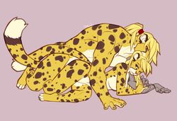 2019 4_toes 5_fingers ambiguous_penetration anthro anthro_on_anthro anthro_penetrated anthro_penetrating anthro_penetrating_anthro blonde_hair cheetah digital_media_(artwork) faint_(artist) felid feline female female_penetrated fingers from_behind_(disambiguation) hair male male_penetrating male_penetrating_female mammal penetration romantic selfcest sex simple_background square_crossover straight tasteful toes