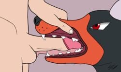 1boy 2019 ambiguous_gender animated bestiality black_fur brown_fur canine close-up fellatio feral furry half-closed_eyes hand_on_head horns houndoom human interspecies itsastoneluigi larger_male male mammal nintendo oral penis penis_on_tongue pokémon_(species) poképhilia pokemon pokemon_gsc red_eyes side_view size_difference teeth testicles text tongue tongue_out_blowjob video_games watermark zoophilia