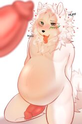 absurd_res anthro belly belly_expansion belly_inflation bluefoxzaza bodily_fluids canid canine canis cum cum_inflated_belly cum_inflation cum_inside domestic_dog duo expansion genital_fluids hi_res inflation leaking_precum male male/male mammal nordic_sled_dog precum samoyed spitz yimity