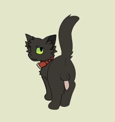 2026 2d_animation ambiguous_gender animal_genitalia animal_penis animated balls black_balls black_body black_fur black_tail butt closed_smile collar digital_media_(artwork) domestic_cat felid feline felis feral frame_by_frame fur genitals green_sclera happy_(lobotodoc) littleperrito loop male_only mammal monotone_body monotone_fur mouth_closed penis pink_nose pink_penis rear_view red_collar shaking_butt shaking_penis simple_background smile solo tail tan_background