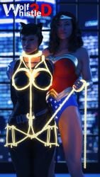 2girls 3d batman_(series) bondage captured captured_villainess catwoman dc_comics female femdom femsub lasso_of_truth lezdom rope shibari tied_up wolfwhistle3d wonder_woman wonder_woman_(series)