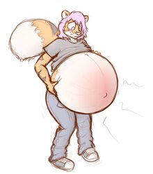 2014 anthro belly big_belly clothing felid feline hyper hyper_belly hyper_pregnancy male male_pregnancy mammal navel pantherine pregnant ready_to_pop simple_background solo theheliumtiger tiger white_background