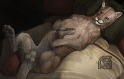 absurd_res animal_genitalia anthro anus ass balls bed cosmiclife cougar feet feet_up felid feline feral fur hi_res hindpaw hunter_(cosmiclife) looking_at_viewer lying male male_only mammal muscular on_back pantherine pawpads paws penis pinup pose semi-anthro soles solo spread_legs spreading teeth whiskers