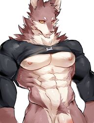 anthro bottomless canid canine canis chung0_0 clothed clothing fur hi_res humanoid_penis looking_at_viewer male male_only mammal muscular muscular_male penis simple_background wolf yellow_eyes