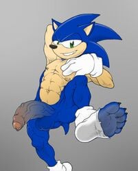 1boy 5_toes balls bara blue_fur clothed clothing eulipotyphlan feet foot_fetish foot_focus foreskin furry furry_only gloves green_eyes handwear hedgehog humanoid_penis legwear male male_only mammal muscles muscular muscular_male nipples penis socks solo sonic_(series) sonic_the_hedgehog toes torn_clothes torn_clothing torn_legwear torn_socks utx-shapeshifter vein veiny_penis