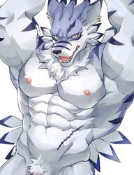 digimon (species) from digimon by chung0 0
