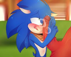 blue_arms duckyeah duo echidna furry hedgehog knuckles_the_echidna male male_only mammal monotreme penis sega sonic_(series) sonic_boom sonic_the_hedgehog sonknux yaoi