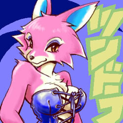 1:1 2003 animal_crossing anthro breasts canid canine canis character_name cleavage clothed clothing corset digital_media_(artwork) female freya_(animal_crossing) fur j-fujita japanese_text kemono lacing lingerie looking_at_viewer low_res mammal nintendo oekaki pink_body pink_fur simple_background smile solo text video_games wolf