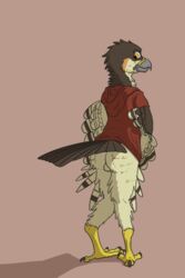 2019 4_toes accipiter accipitrid accipitriform anisodactyl anthro ass avian backsack balls bird bottomless brown_body brown_feathers clothed clothing digital_media_(artwork) eurasian_sparrowhawk feathered_wings feathers hi_res hoodie looking_back male male_only orange_eyes raised_tail red_hoodie short_sleeves solo standing tan_body tan_feathers theandymac toes topwear true_hawk wings